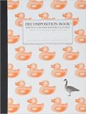 1592541011 Duck Duck Goose Decomp Book