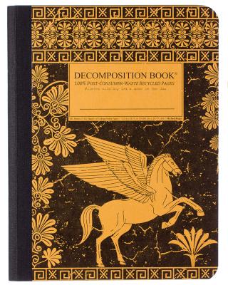 40872 Pegasus Decomp Book